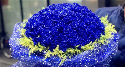蓝色玫瑰花的寓意（讲解蓝色玫瑰花语是，并探讨他在爱情里的象征意义）图3