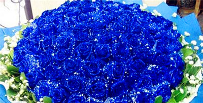 蓝色妖姬的花语——美丽与神秘的寓意（揭密蓝色妖姬花的15种花语，其中一个让你感到一见钟情）图1