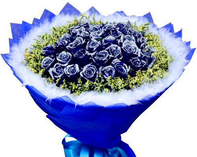 蓝玫瑰花语是与寓意（探索蓝玫瑰其背后的神密与美丽）图1