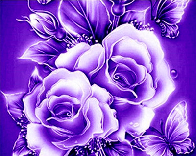 深情的紫色玫瑰，代表爱情的忠贞（寓意丰富多样的紫色玫瑰，擅长表达爱情）图2